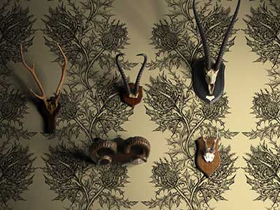 Timorous Beasties - Tapet